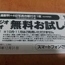 【全数商談中】スタジオマリオ　無料お試し券【送料込】【注　追記あり】