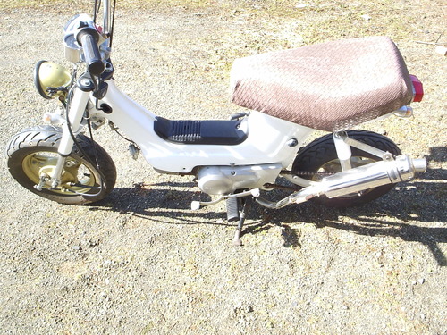 ホンダ シャリィ CF50P 12V