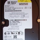 WD2500 3.5インチ SATA 250GB ハードディスク...