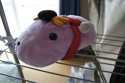 終了 カピバラさんシリーズリーゼントくんのぬいぐるみ タチバナ 川越のおもちゃ ぬいぐるみ の中古あげます 譲ります ジモティーで不用品の処分