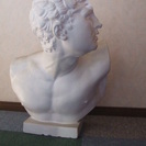 ◆素敵な石膏像/ボルゲーゼの闘士帝胸像