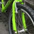 子供用自転車　ルイガノLGS-J22