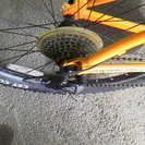 ＣＡＮＮＯＮＤＡＬＥ　ＣＯ２　４０