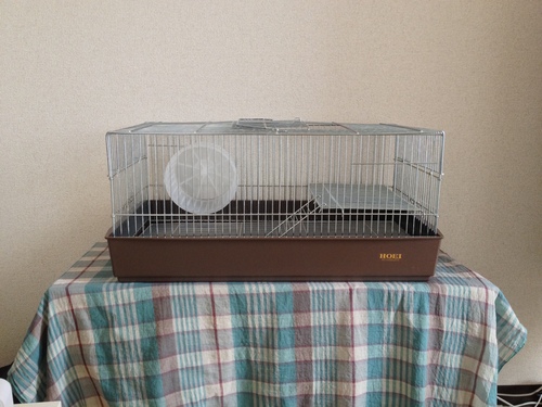 ハムスターケージ／金網／大きめ【ほぼ新品：3日間使用】 (aisnow) 中目黒のその他の中古あげます・譲ります｜ジモティーで不用品の処分