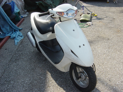 ホンダ　　ＤＩＯ　ＡＦ５６