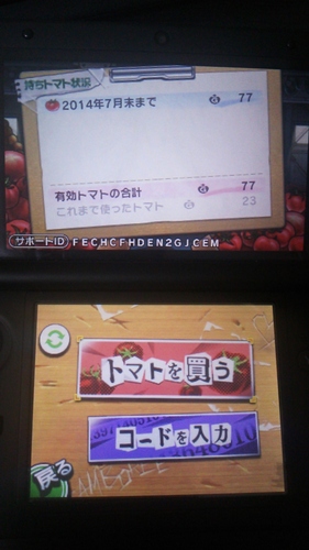 Nintendo 3DS LL + ソフト2本