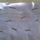 アンティーク★スヌーピーバッジ