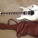 Ibanez RG350DXZ