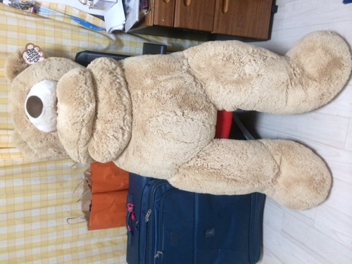 その他 Teddy bear!