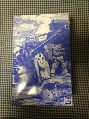MG 陸戦型ガンダム 寒冷地用A
