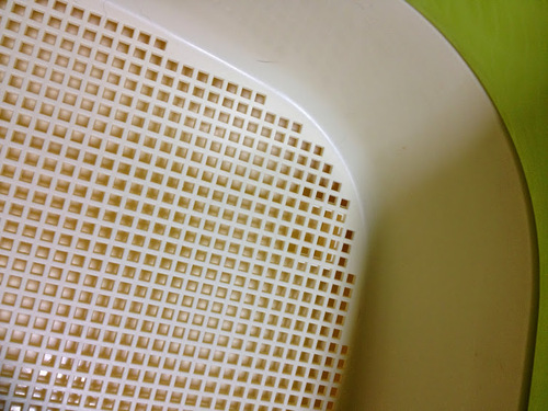 コロルネコトイレ５５Ｈすのこ付きグリーン猫トイレ (ソラマメ) 蕨の 