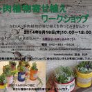 選べる☆リメイク缶多肉植物寄せ植えワークショップの画像