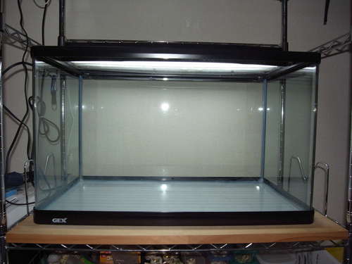 終了 60cmガラス水槽及びオカヤドカリ用飼育備品 差し上げます るな 成増のその他の中古あげます 譲ります ジモティーで不用品の処分