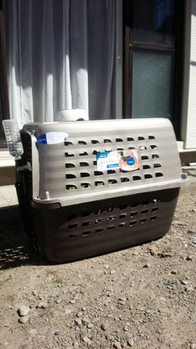 犬用ゲージ（大型犬対応）