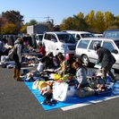 ◎◎◎「１１月２２日（土）　越谷しらこばと水上公園フリーマーケッ...