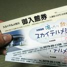 【交渉成立】天然温泉　スカイテルメ渋川　入館券（ペア）