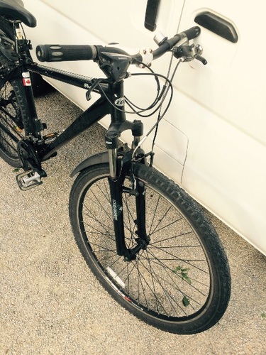 春日市（井尻寄り）より 配送 ルイガノ 29er 20000円 