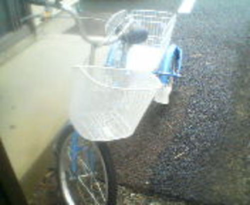 三輪車（大人用）売ります