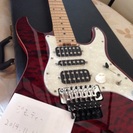 シェクター EX-V 24