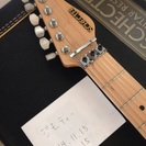 シェクター EX-V 24