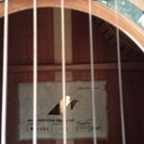 モーリス SJ-121 横山ギター