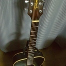 ★取引完了★珍しい 「TAKAMINE　P-40」 エレアコ　GOTOペグ・象牙サドル