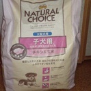 NATURAL CHOICE 大型犬用　子犬用　チキン＆玄米