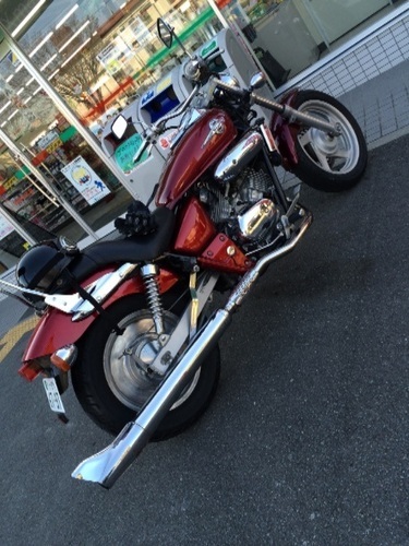 マグナ250