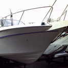 ジャンルが無いので「その他」から２６ｆｔフィッシングクルーザーを出品します。