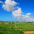沖縄のピンチを「観光まちづくり」で解決してみませんか？