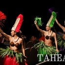 「タヒチアンダンスで美しくなる!!」　女性専用タヒチアンダンススタジオ　TAHEAT（タヒート）恵比寿 − 東京都