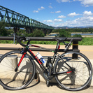 GIANT　DEFY　COMPOSITE３　２０１４モデル