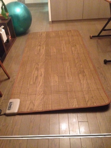 【美品】ホットカーペット一畳タイプ