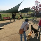 DOGRUN海岸通り♪