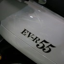 電動バイク　国産プロッツァEVR５５　バッテリー新品