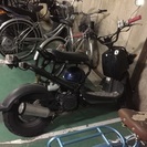 ホンダ　ズーマー　中古