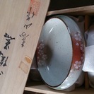 有田焼き桜の鉢皿　