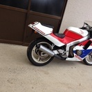 CBR250R MC19