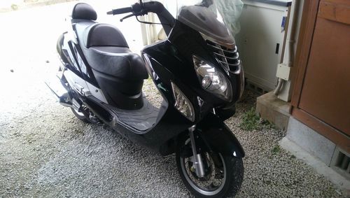 ビックスクーター２５０