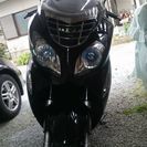 ビックスクーター２５０