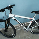 ARAYA Muddy Fox 29er 2012年