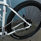 ARAYA Muddy Fox 29er 2012年