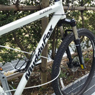 ARAYA Muddy Fox 29er 2012年