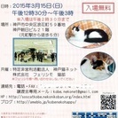 3月15日（日曜）第14回猫の譲渡会（NPO法人神戸猫ネット＆株...