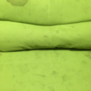1年使用緑色のソファベッド
