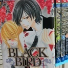 【マンガ】BLACK BIRD　桜小路かのこ