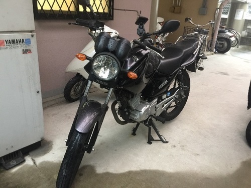ヤマハ ybr125