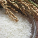 【無料条件】佐渡島片野尾の自家製お米を一合
