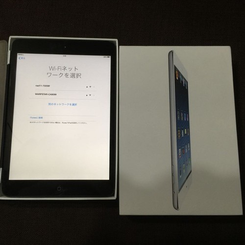 iPad ipad mini wi-fi Cellular 64gb