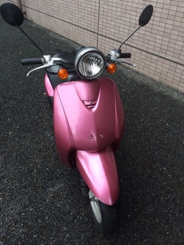 激安 人気のトゥデイ  カラーピンク